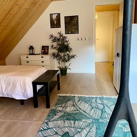 Bonita Casa Junto A Baqueira Dream Gessa